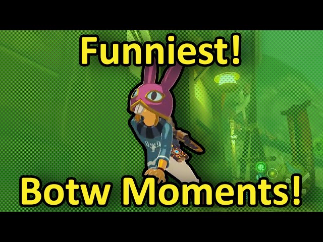 Funniest Botw Moments!
