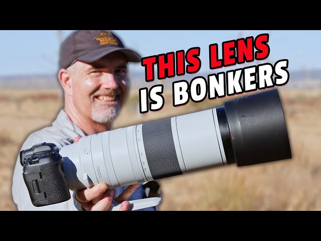 Canon RF200-800mm For Wildlife - First Impressions