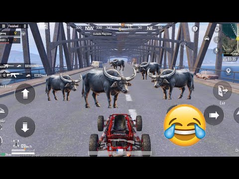 New update | PUBG MOBILE FUNNY MOMENTS 😅😂