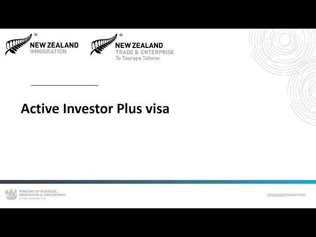 Active Investor Plus visa webinar