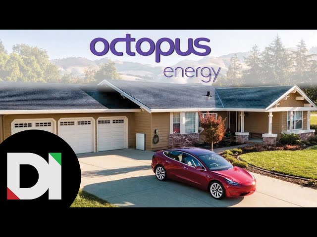Octopus Energy: Can you really get paid to charge your EV?