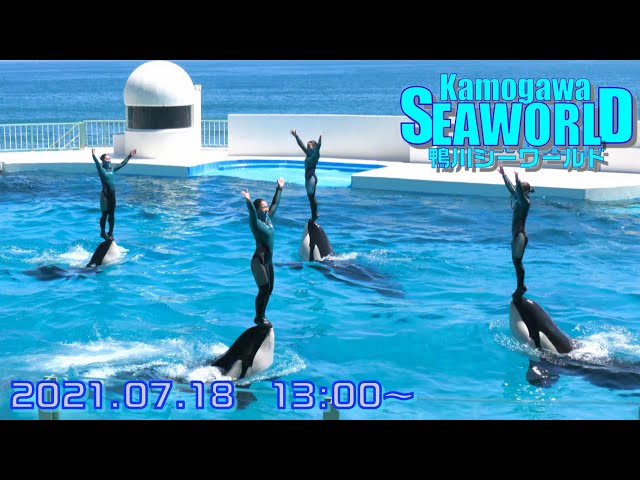 ◆鴨川シーワールド　シャチパフォーマンス（2021．07．18）13：00~ ◆【4K60P】
