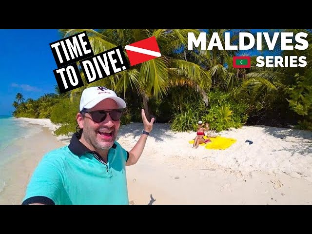 Maldives Diving On Your Own Island:  马尔代夫  Dhigurah 中文字幕
