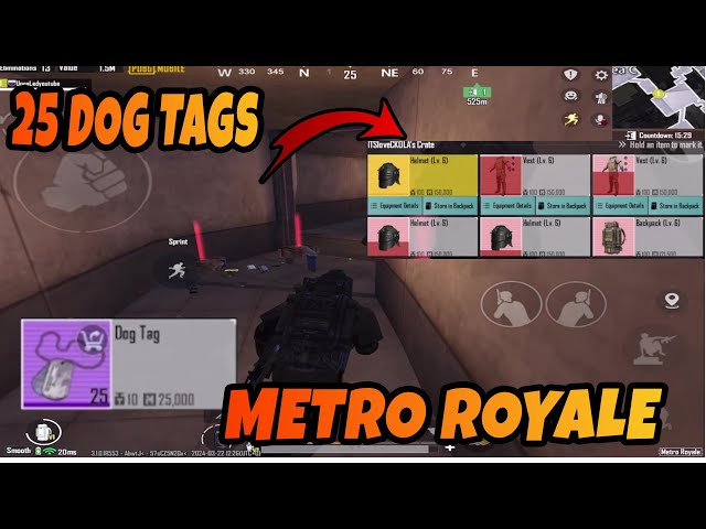 SOLO 25 DOG TAGS - PUBG METRO ROYALE CHAPTER 19