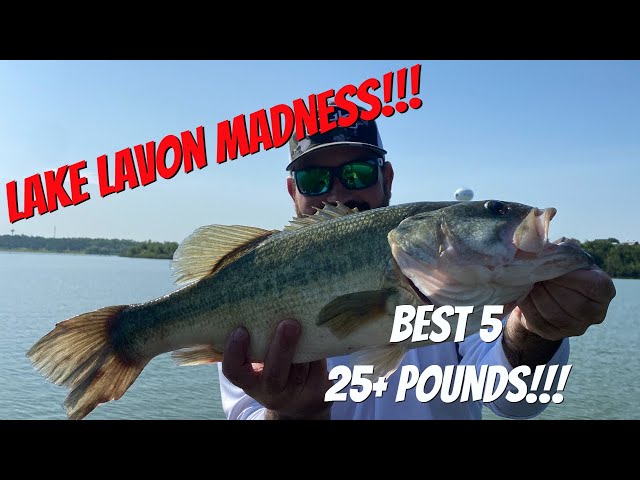 Lake Lavon Bass Fishing - We found the BIG GIRLS!!!
