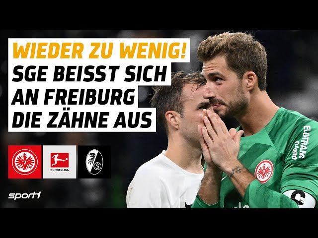 Eintracht Frankfurt - SC Freiburg | Bundesliga Tore und Highlights 5. Spieltag