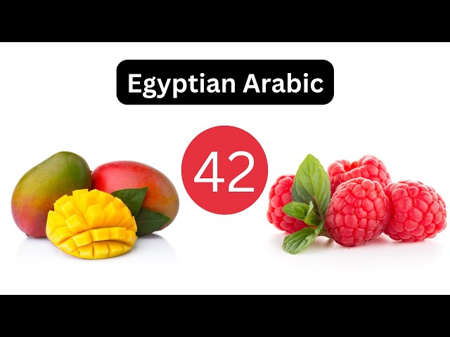 Egyptian Arabic | Lesson 42 - Food part 3, and "what did they say?