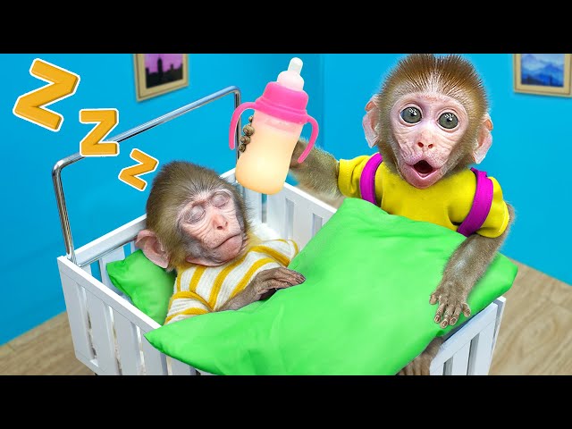 KiKi Monkey take care with Giant Bottle of Milk and bath with Duckling in toilet | KUDO ANIMAL KIKI