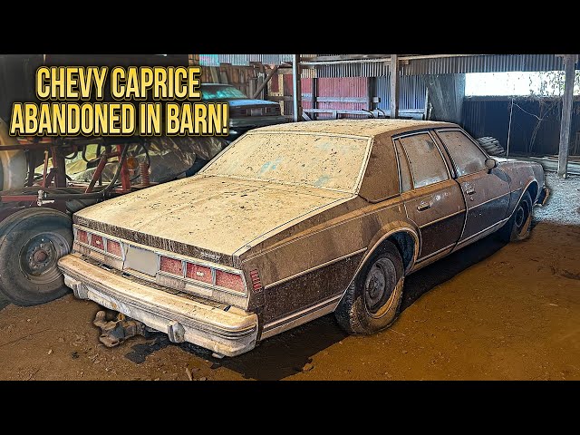 First Wash in 18 Years: Caprice Classic Barn Find! | Car Detailing Restoration