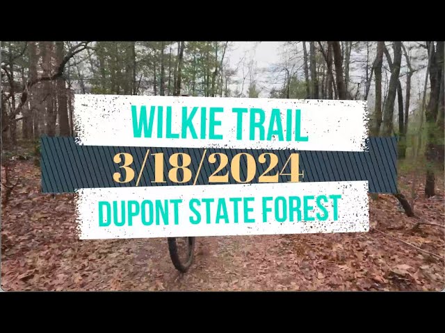 Dupont State Forest   Wilkie Trail 3-18-2024   Joe Mori Larry Byrnes