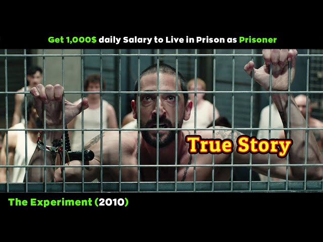 [Movie Review] Get 1,000$ Daily Salary To Live In Prison As Prisoner || The Experiment