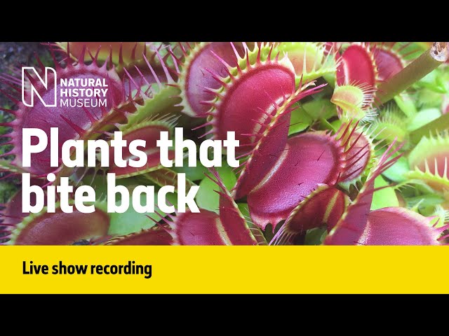 Plants that bite back | Live talk with NHM scientist