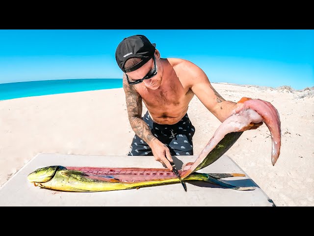 Catch And Cook With $20 Spear Gun In Deep Ocean