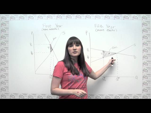 Microeconomics Practice Problem - Price Elasticity and the Deadweight Loss of Taxation