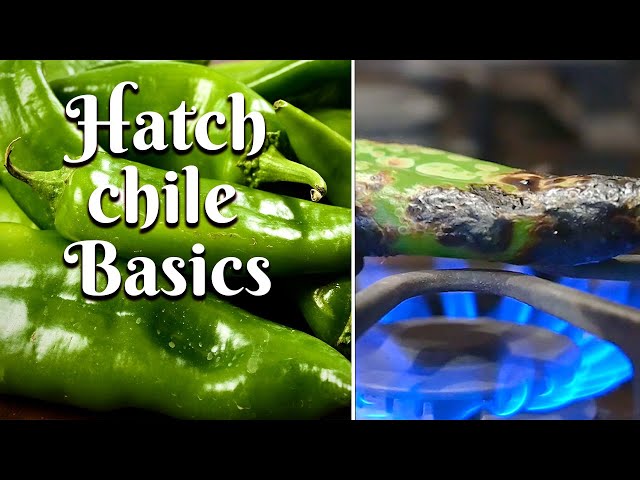HATCH CHILE BASICS: What You Need to Know About Hatch Chile/Roasting, Peeling, & Freezing