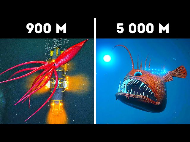 3D-путешествие к неизведанному, что кроется в глубинах океана