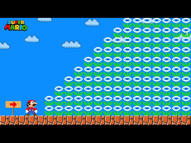 Can Mario Collect 999 Ice Flowers in New Super Mario Bros. Wii ? | Game Animation