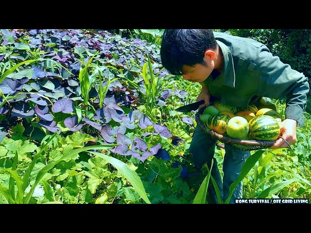 Full video: 60 days of restoring and rebuilding the farm, Planting wet rice, Outdoor grilled chicken