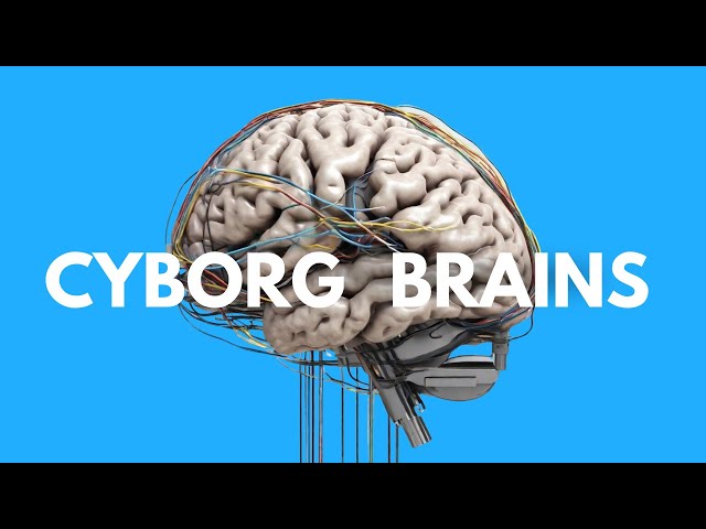 Cyborg Brains, The Science Behind Tesla's Optimus Gen 2, & AI Social Learning