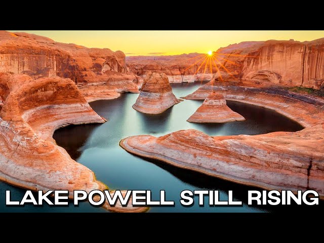 Lake Powell's Changing Water Levels Revealed in Chart.