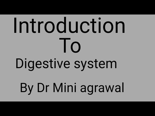 Introduction to digestive system|| By Dr Mini Agrawal for nursing| paramedical #bhms