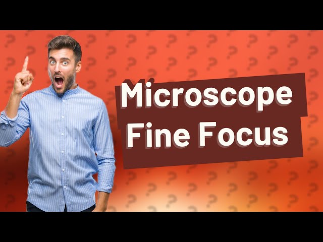 What is the function of fine focus in microscope?