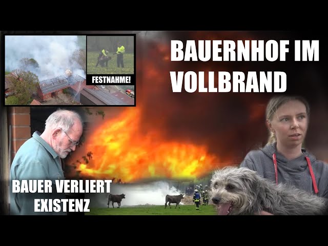[EINSTURZ WÄHREND INTERVIEW] RENNENDE BULLEN | Bauernhofbrand in Tecklenburg | Flammeninferno
