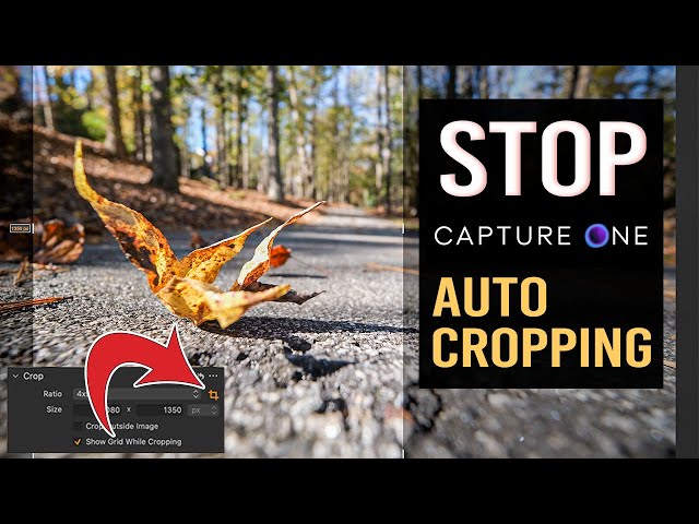 Prevent Cropping in Capture One