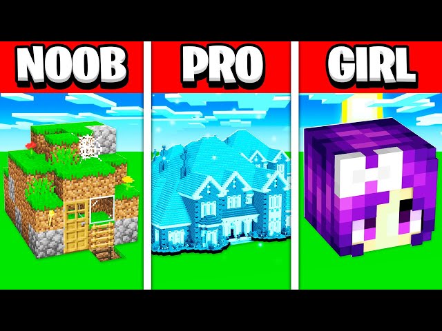 NOOB Vs PRO Vs GIRLFRIEND Minecraft Build Challenge (For $1000!)
