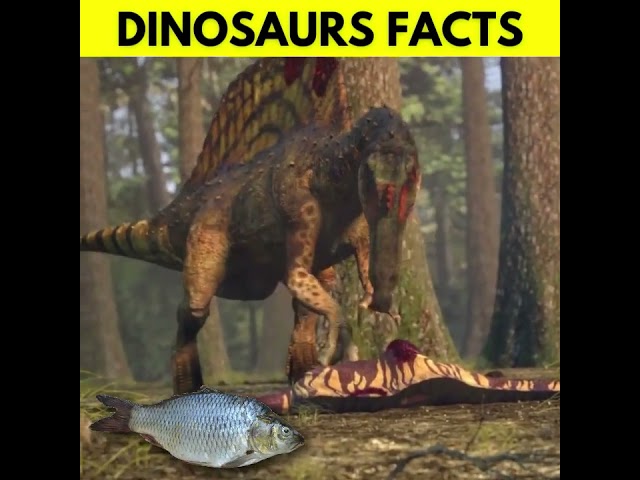 Top 5 Shocking & Mysterious DINOSAURS Facts in Hindi/Urdu 😨 - Dinosaurs Facts in Hindi - #shorts