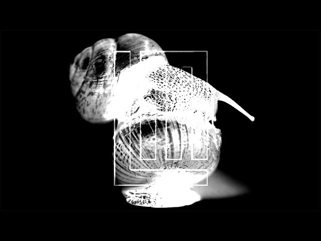 LINDEMANN - Ich weiß es nicht (Official AI-Video)