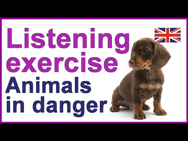 English listening exercise - Animals in danger