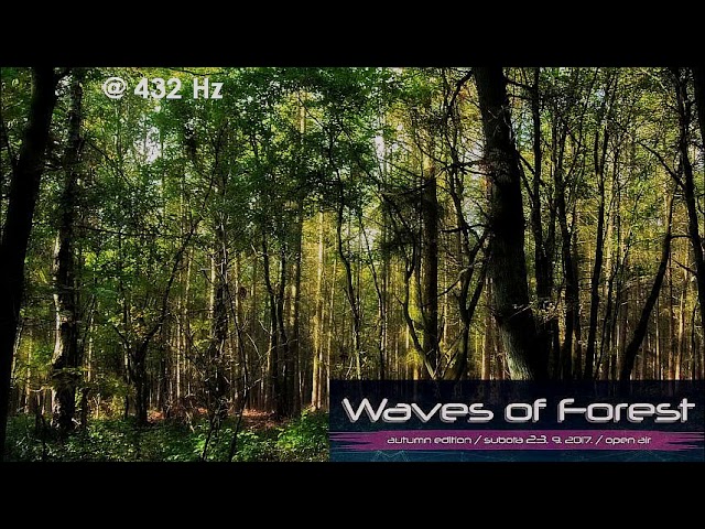 Andrej - Waves of Forest @ 432 Hz