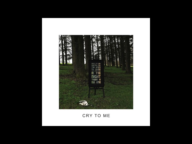 IDLES - CRY TO ME Official Audio)
