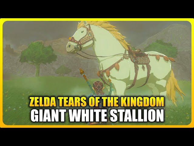 Zelda Tears of the Kingdom - Giant White Stallion Location (Unlimited Stamina Horse)