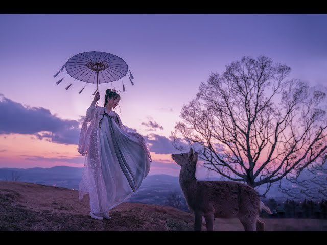 The Beautiful Music of Taro Iwashiro - Album: 10 Private Travels