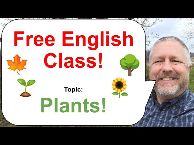 Free English Class! Topic: Plants! 🌱🌳🌻
