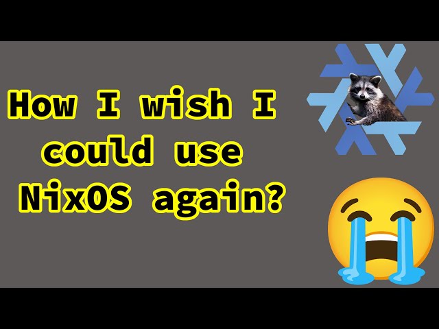 NixOS: Why I no longer use it?