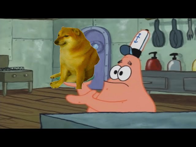 Patrick that's Doge