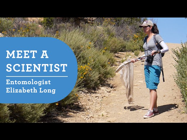 Meet a Scientist: NHM Entomologist Elizabeth Long