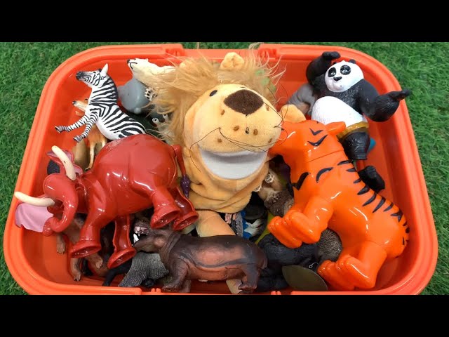 Zoo Animal Toys for Kids with Sound Effects