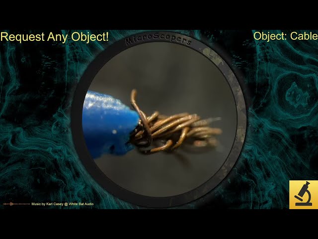 Livestream Request Any Object! #1