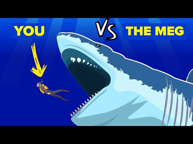 YOU vs THE MEG - How Can You Defeat and Survive It (The Meg Shark Movie)