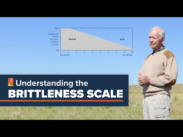 Understanding the Brittleness Scale | Holistic Management Lesson