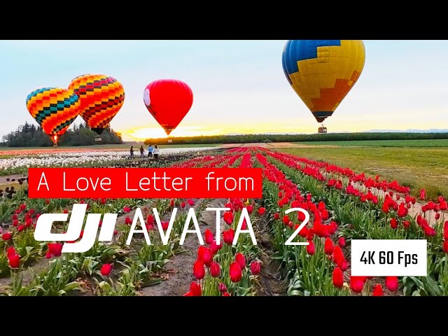 A Love Letter from DJI Avata 2 - Short Film - [ 4K  @ 60 Fps ]