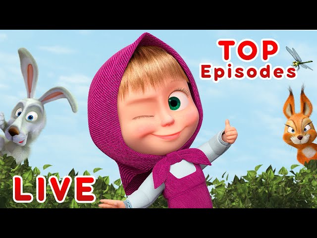 Masha and the Bear 🎬💥 LIVE STREAM 💥🎬 TOP cartoon episodes for kids