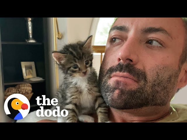 Phone-Sized Kitten Turns Guy Into A Cat Person | The Dodo
