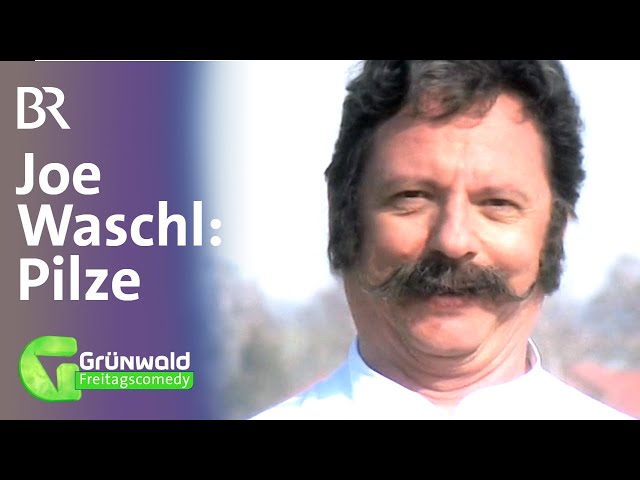 Koch Joe Waschl: Pilze essen | Grünwald Freitagscomedy