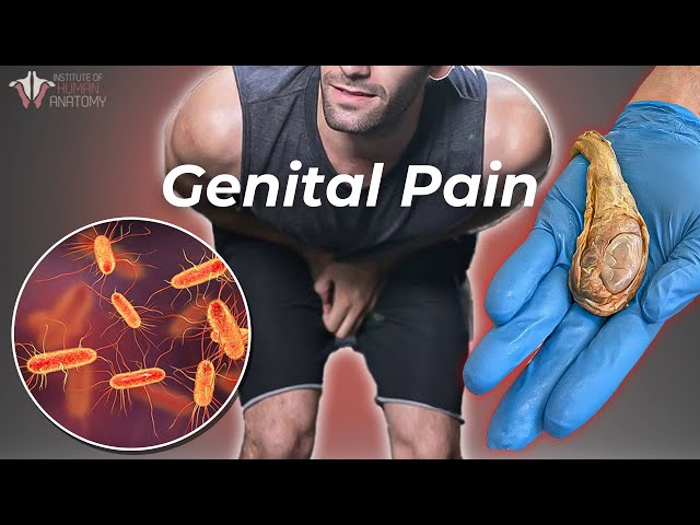 The Worst Genital Pain a Man Can Experience