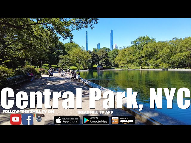 Central Park Virtual Run with Adam NYC